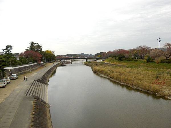 IMGP7594.jpg
