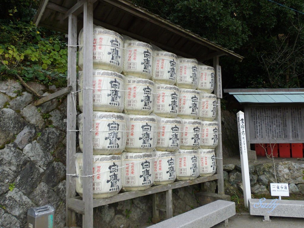 IMGP7600.jpg
