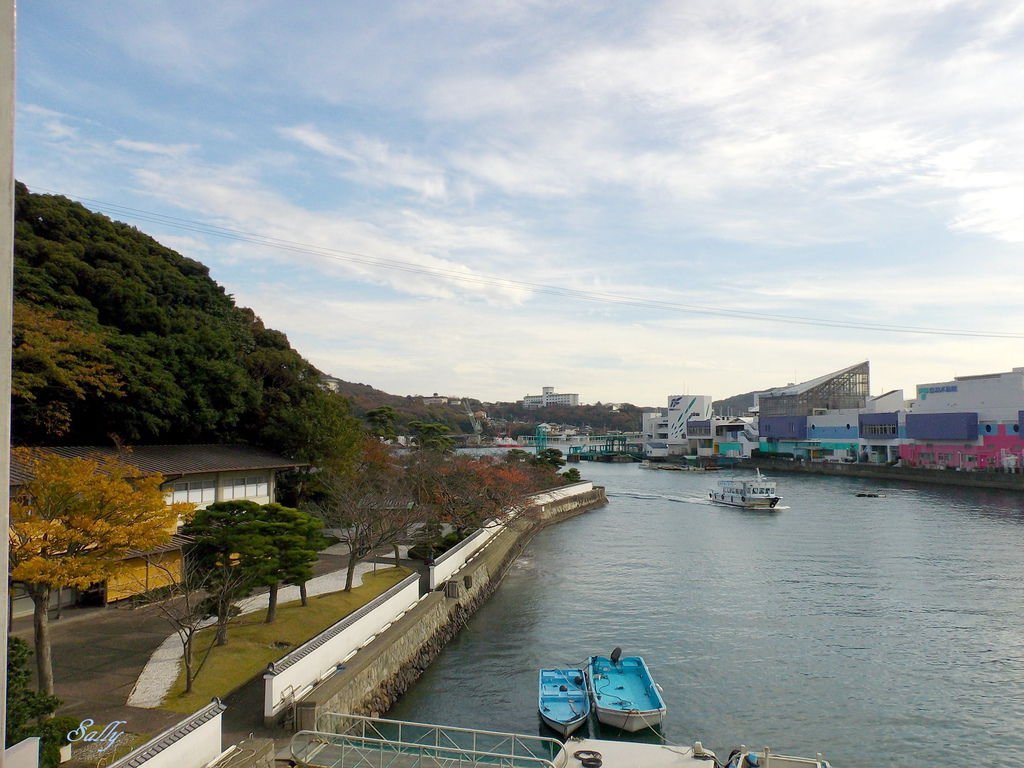 IMGP7653.jpg