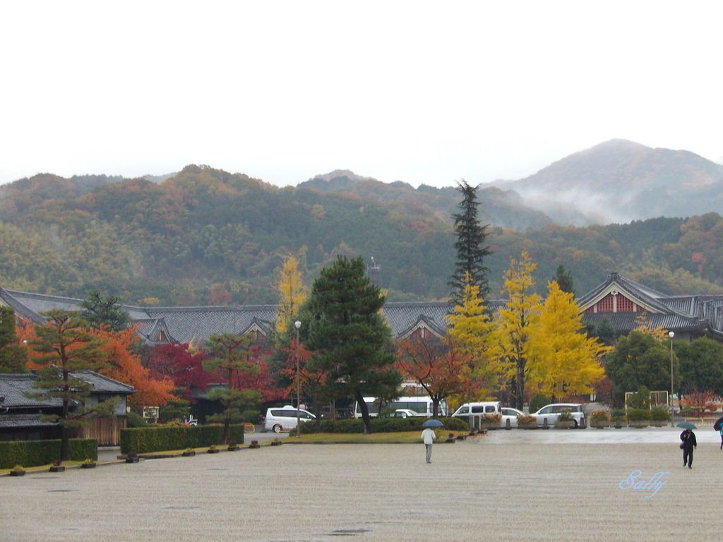 IMGP8566.JPG
