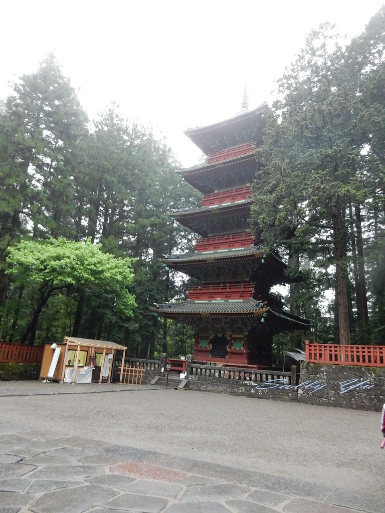 DSCN5238.JPG