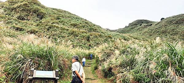 20201101_123102.jpg