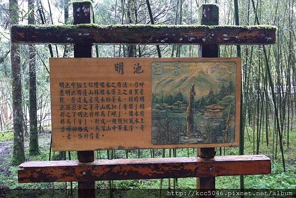 P1150757.JPG