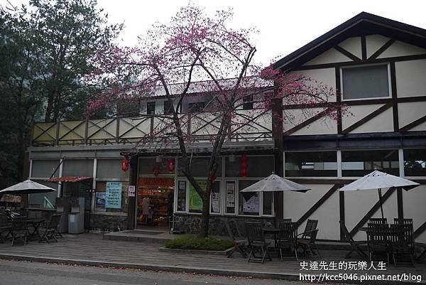 P1160571.JPG