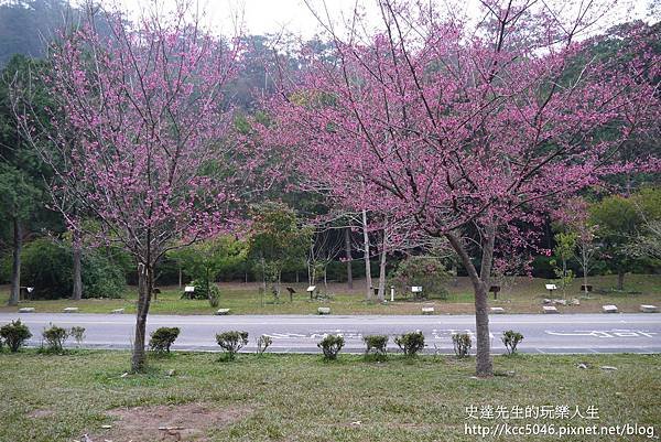 P1160697.JPG