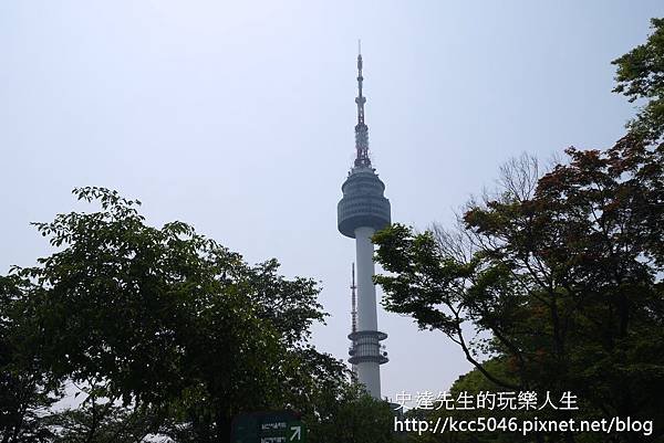 P1180200.JPG
