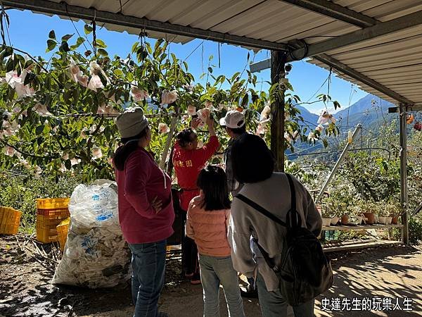 【台中景點】忘不了的梨山2天1夜遊(梨山賓館/梨山遊客中心/