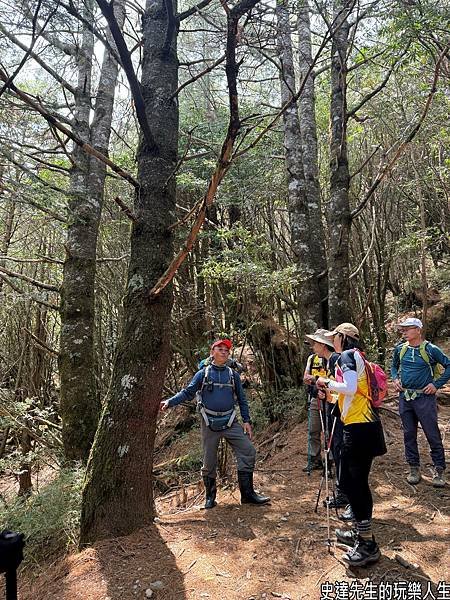 【高雄景點】塔關山登山記~千萬別輕易答應別人爬百岳@高雄市桃