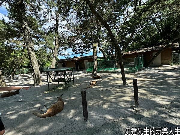 九天八夜的九州夏日散策~我們來九州自駕遊囉。Day7~