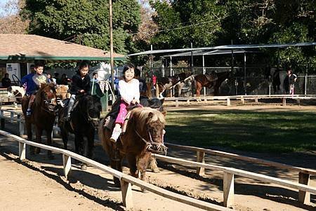 IMG_4849