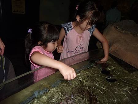 P1190341.JPG