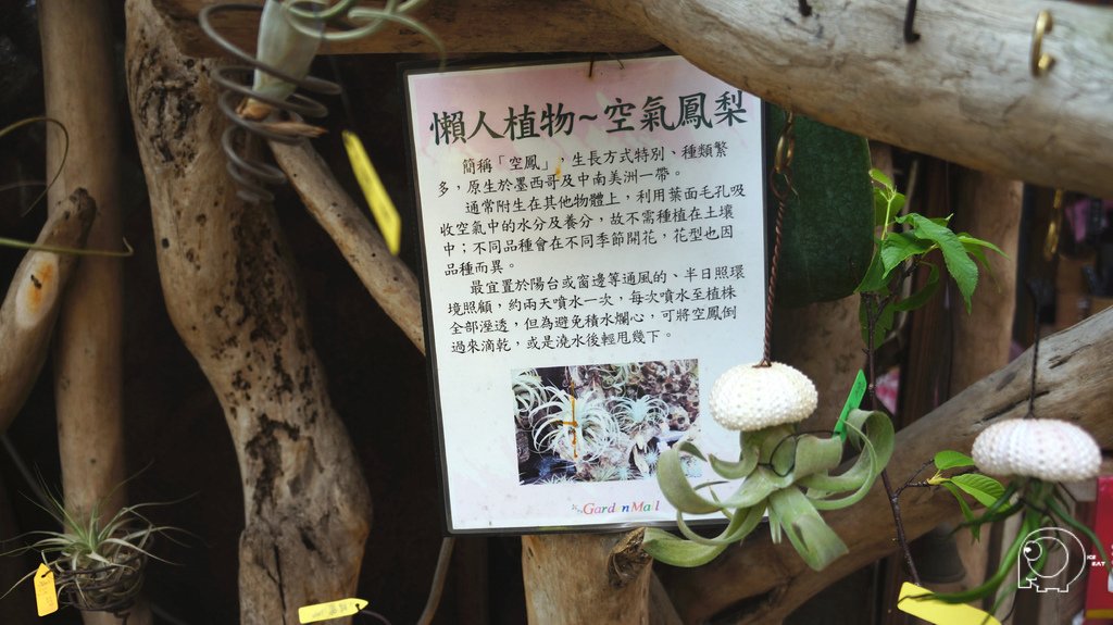 台北花卉村