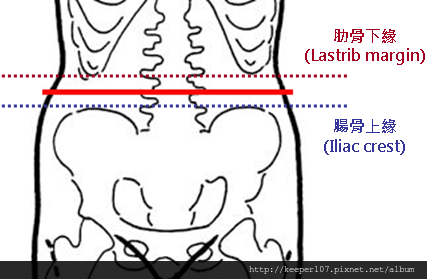 量腰圍