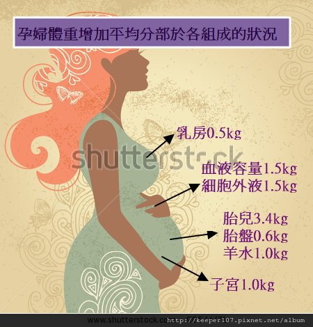 stock-vector-silhouette-of-pregnant-woman-with-ornament-90544471