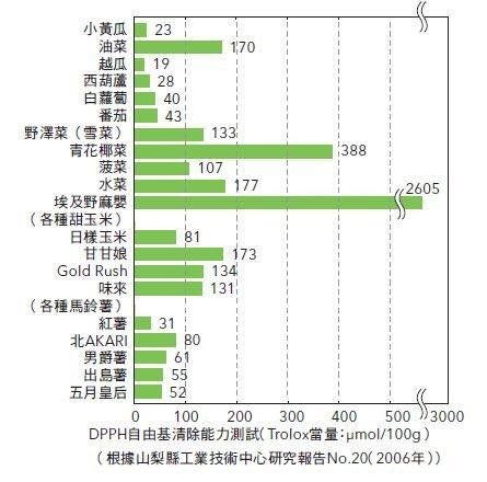 抗氧化蔬菜.jpg