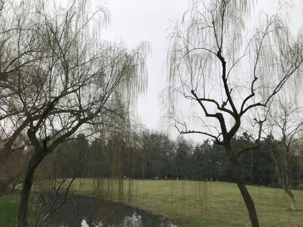20190309_IMG_4291 copy