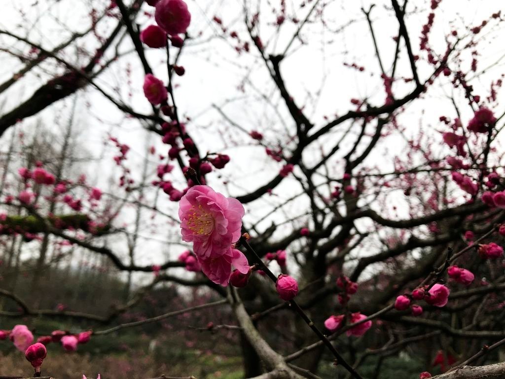 20190309_IMG_4387 copy
