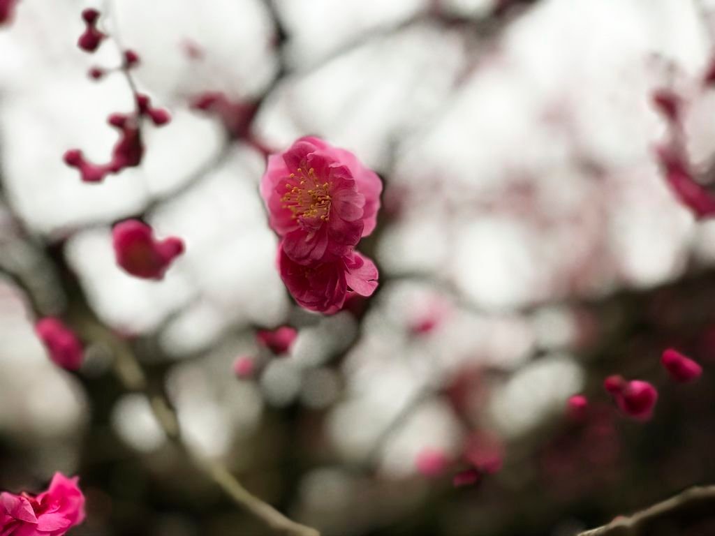 20190309_IMG_4385 copy