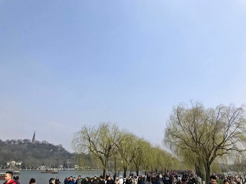 20190310_IMG_4600 copy