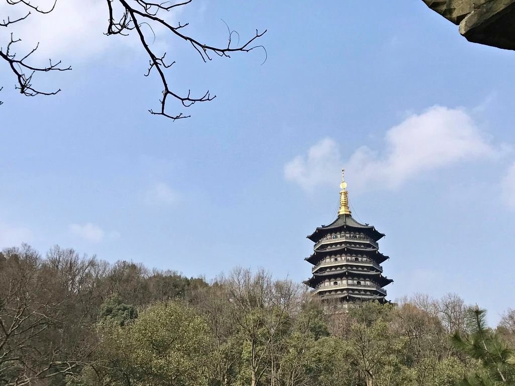 20190310_IMG_4665 copy.jpg