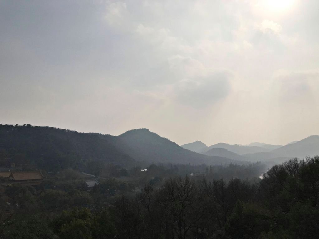 20190310_IMG_4712 copy.jpg