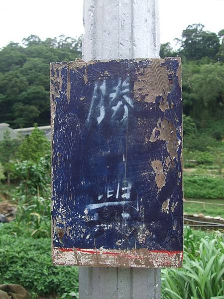DSCF8065.JPG