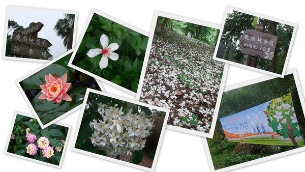 blog(001).jpg