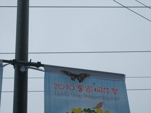 DSCF2844(001).jpg