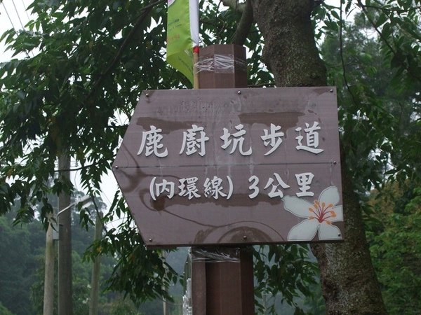 DSCF2846(001).jpg