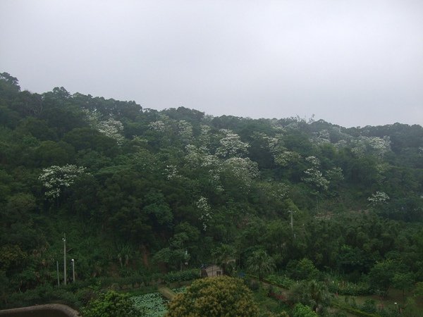 DSCF2864(001).jpg