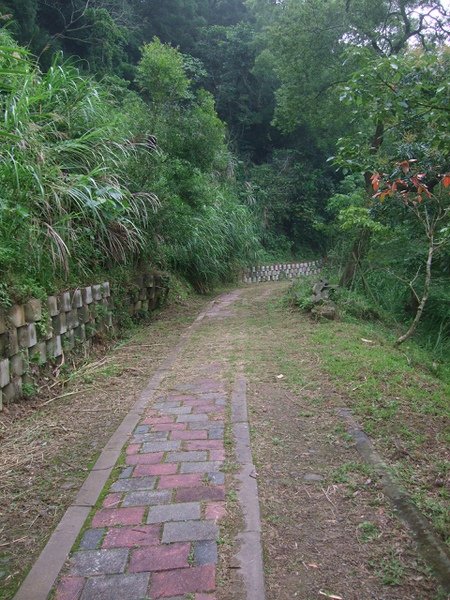 DSCF2867(001).jpg