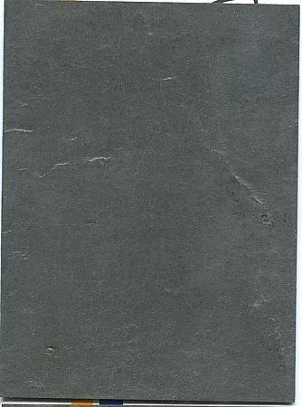 SL110