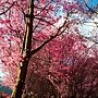 IMG_6046.jpg