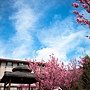 IMG_6535.jpg
