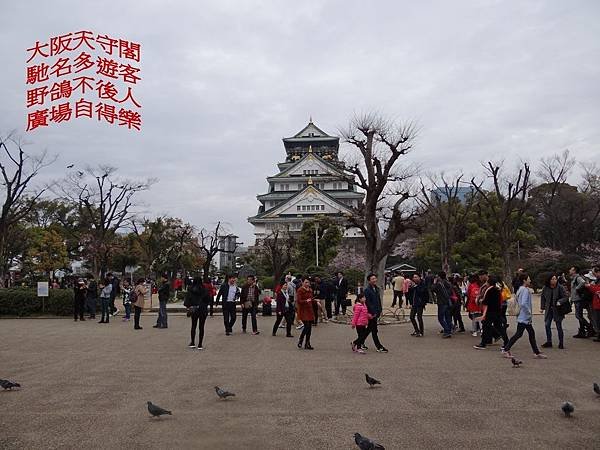 圖片2063.jpg