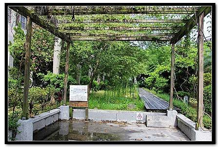 nEO_IMG_IMG_4497.jpg