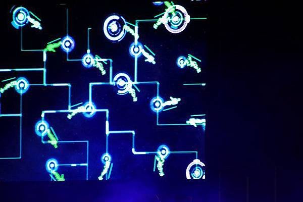 nEO_IMG_IMG_6752.jpg