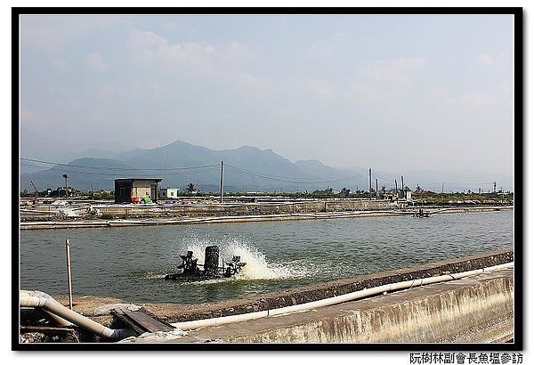 nEO_IMG_IMG_6639.jpg