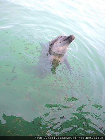 DSCN0448.JPG