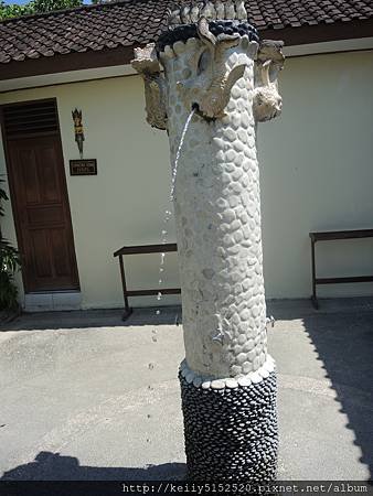 DSCN0460.JPG