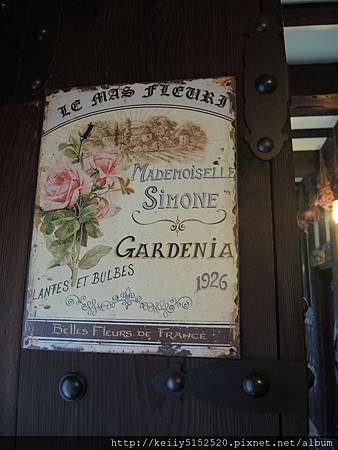DSCN1937