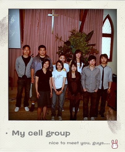 cellgroup2-pola.jpg