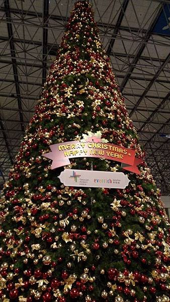 P_20141222_061322_BF