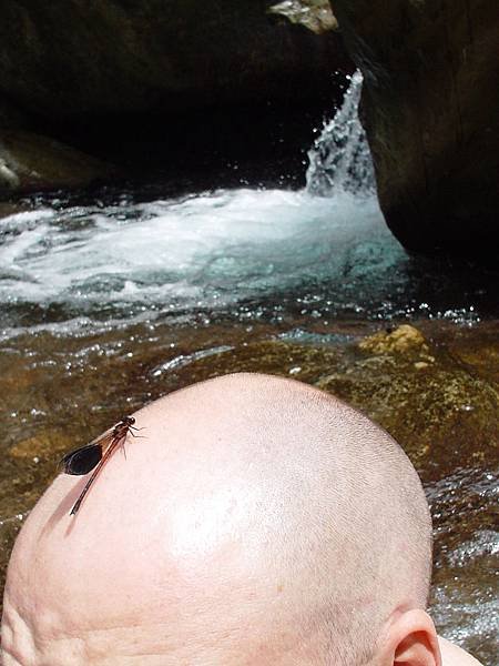jin yue waterfall