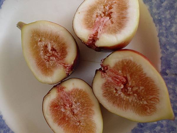 figs