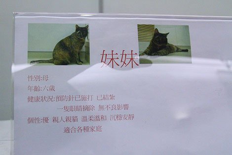 IMG_2711.jpg
