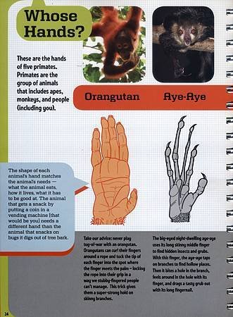 The Hand Book - Explore the handiest part of your body - Page 24