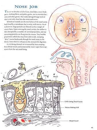 THE WAY WE WORK - P61.jpg