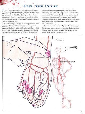 THE WAY WE WORK - P85.jpg