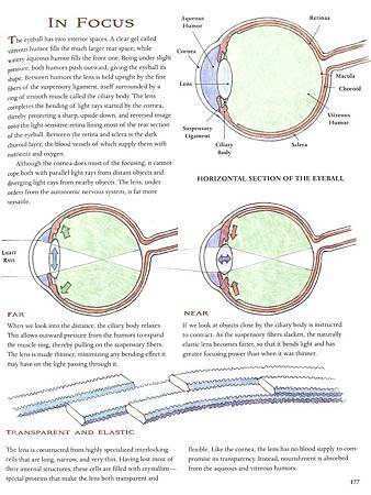 THE WAY WE WORK - P177.jpg